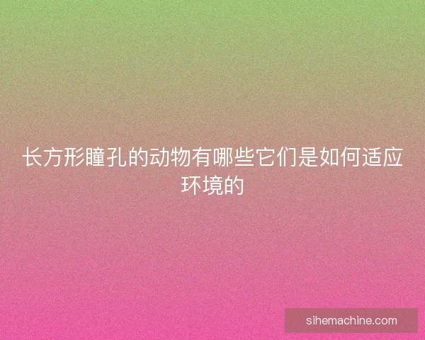 长方形瞳孔的动物有哪些它们是如何适应环境的
