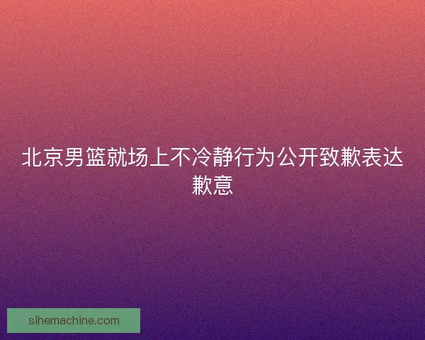 北京男篮就场上不冷静行为公开致歉表达歉意