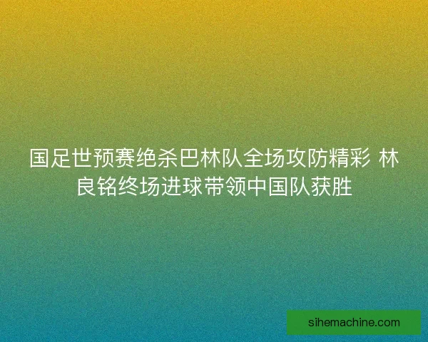 国足世预赛绝杀巴林队全场攻防精彩 林良铭终场进球带领中国队获胜