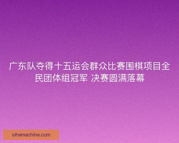 广东队夺得十五运会群众比赛围棋项目全民团体组冠军 决赛圆满落幕