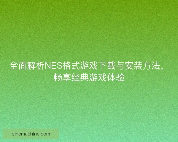 全面解析NES格式游戏下载与安装方法，畅享经典游戏体验